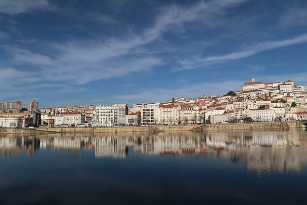 L'essor du Rap Portugais : Un style en pleine expansion